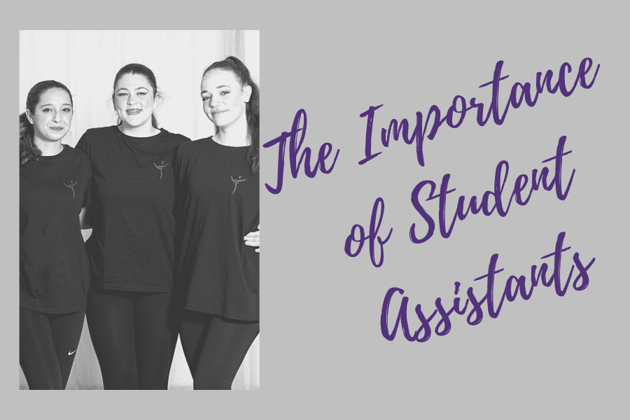 The importance of having assistants in class